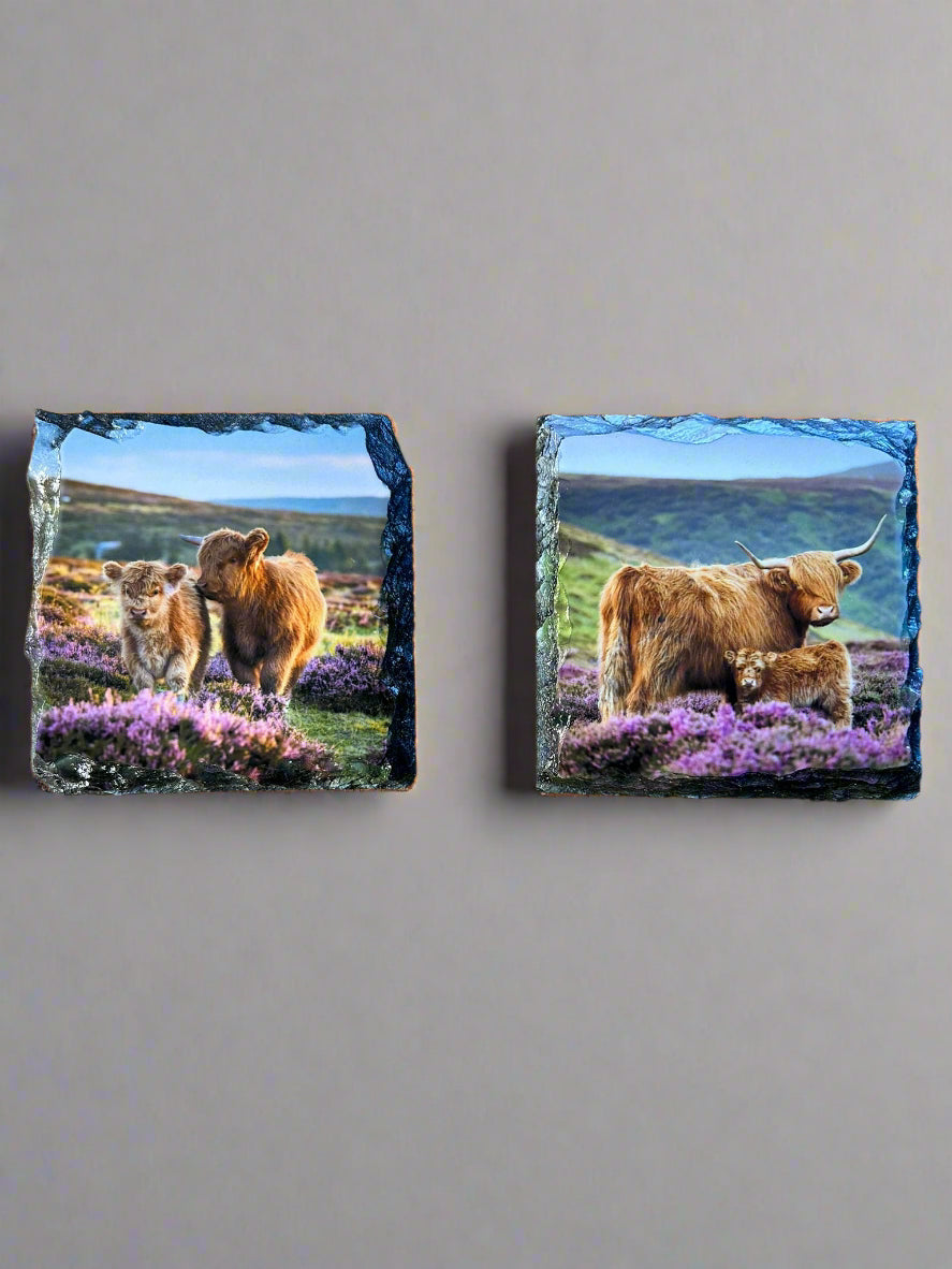 Scottish Highland Cow Stone Slate Coaster Set. Highland Cow Images Printed on Natural Slate.