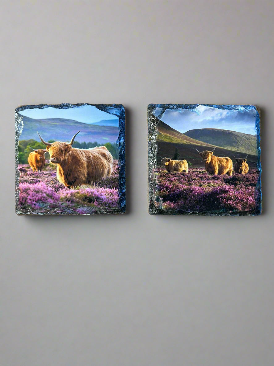 Scottish Highland Cow Stone Slate Coaster Set. Highland Cow Images Printed on Natural Slate.