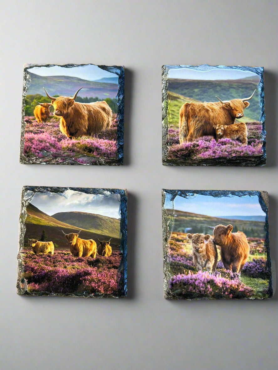 Scottish Highland Cow Stone Slate Coaster Set. Highland Cow Images Printed on Natural Slate.