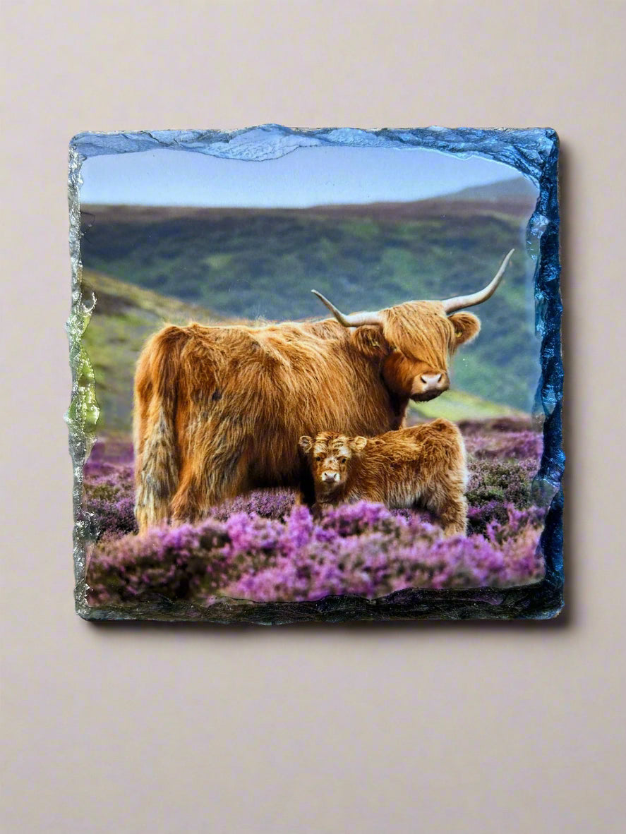 Scottish Highland Cow Stone Slate Coaster Set. Highland Cow Images Printed on Natural Slate.