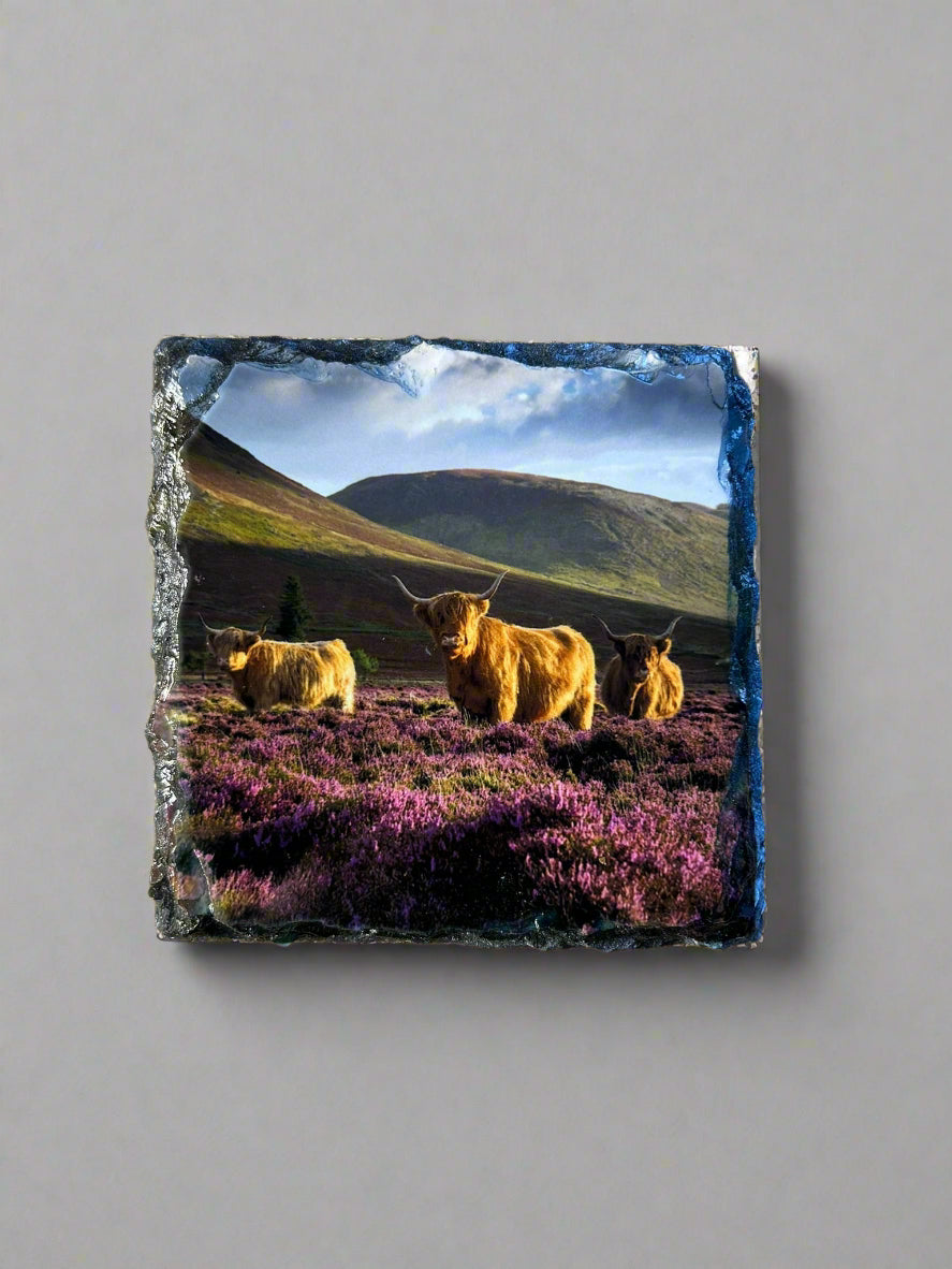 Scottish Highland Cow Stone Slate Coaster Set. Highland Cow Images Printed on Natural Slate.