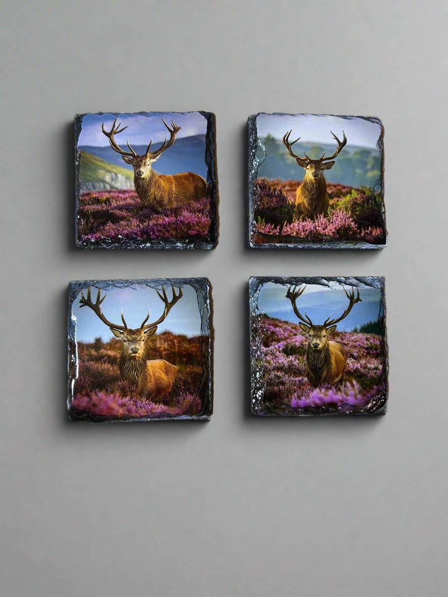 Scottish Stag Stone Slate Coaster Set. Highland Stag Images Printed on Natural Slate.