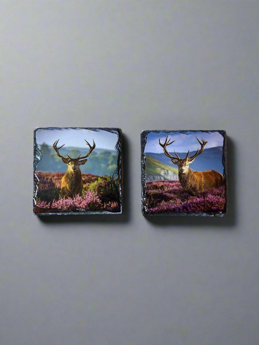 Scottish Stag Stone Slate Coaster Set. Highland Stag Images Printed on Natural Slate.