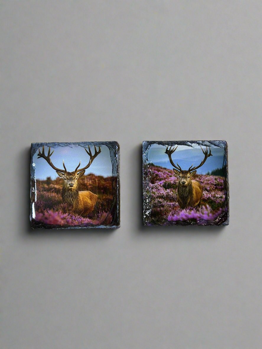 Scottish Stag Stone Slate Coaster Set. Highland Stag Images Printed on Natural Slate.