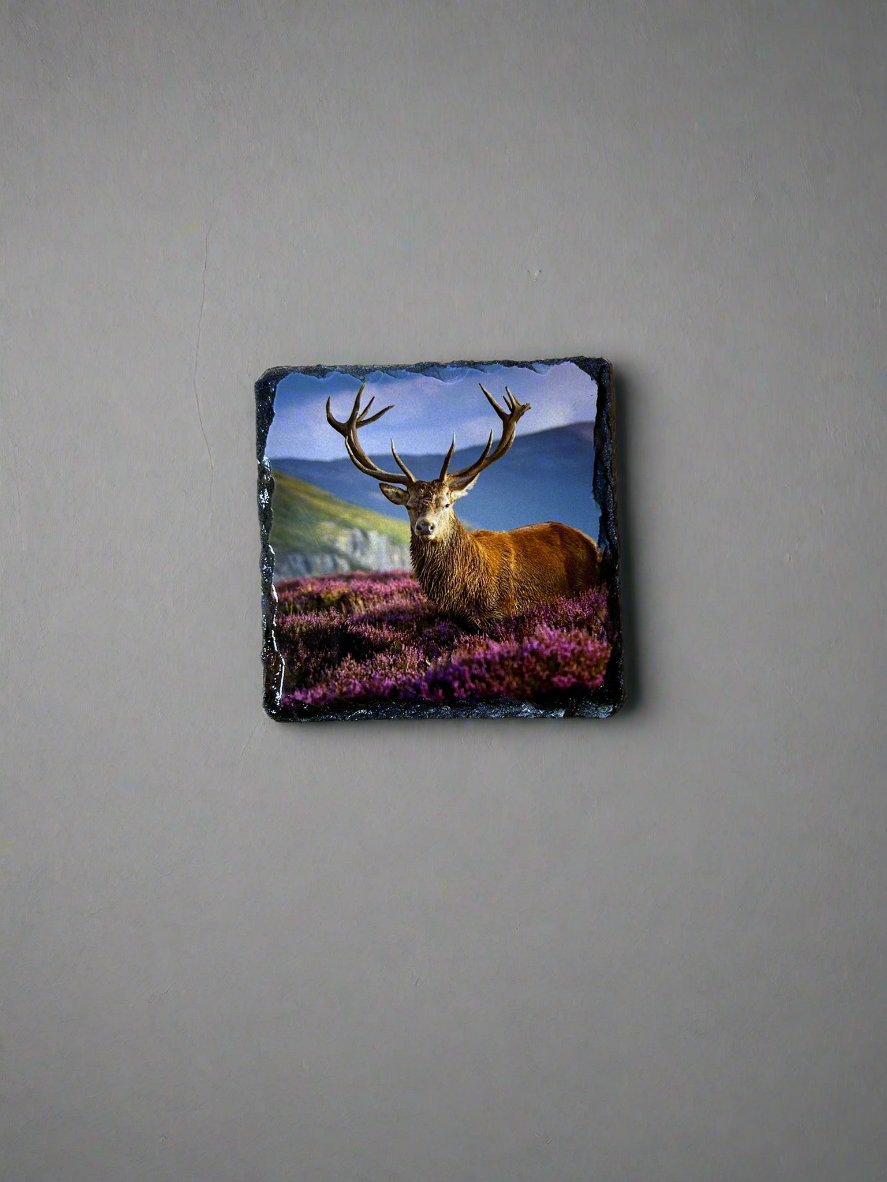 Scottish Stag Stone Slate Coaster Set. Highland Stag Images Printed on Natural Slate.